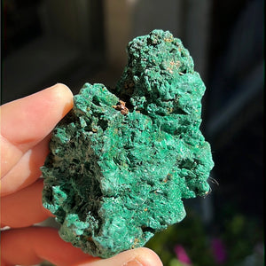 Fibrosis Malachite