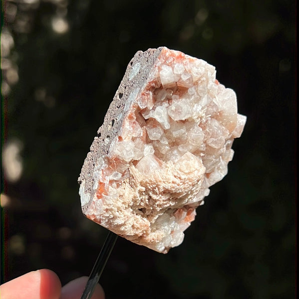 Red Apophyllite on Pin