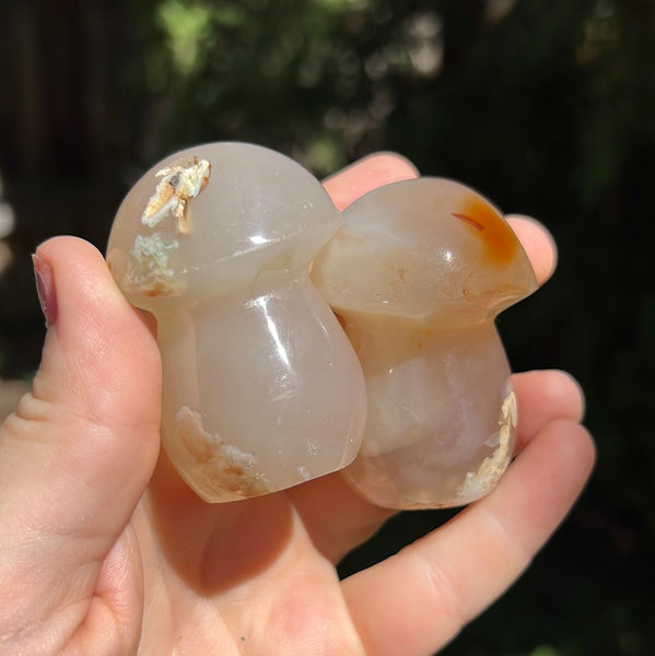 Flower Agate Mushrooms