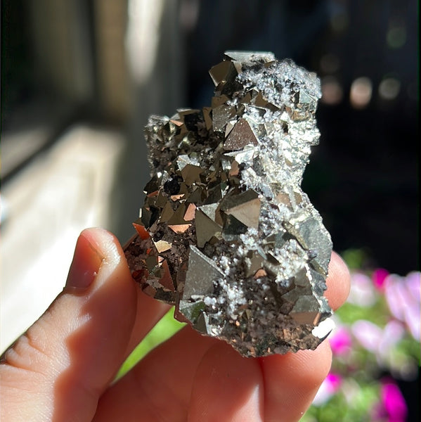 Octahedral Pyrite