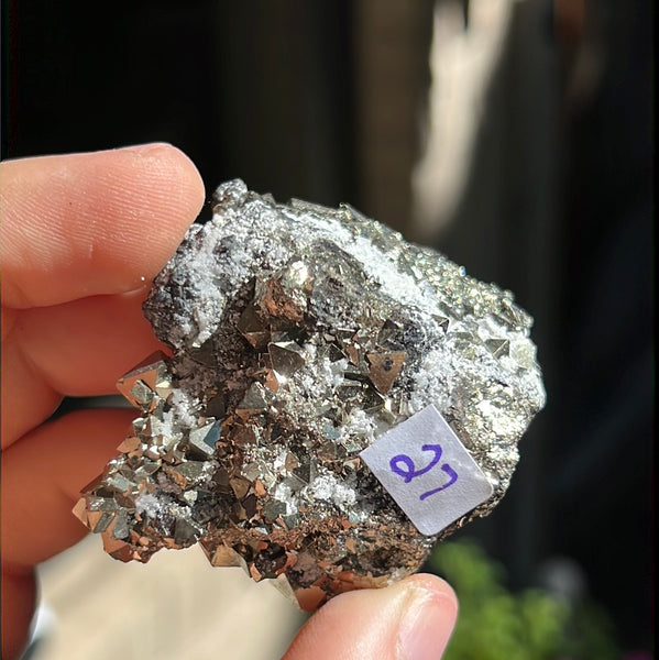 Octahedral Pyrite