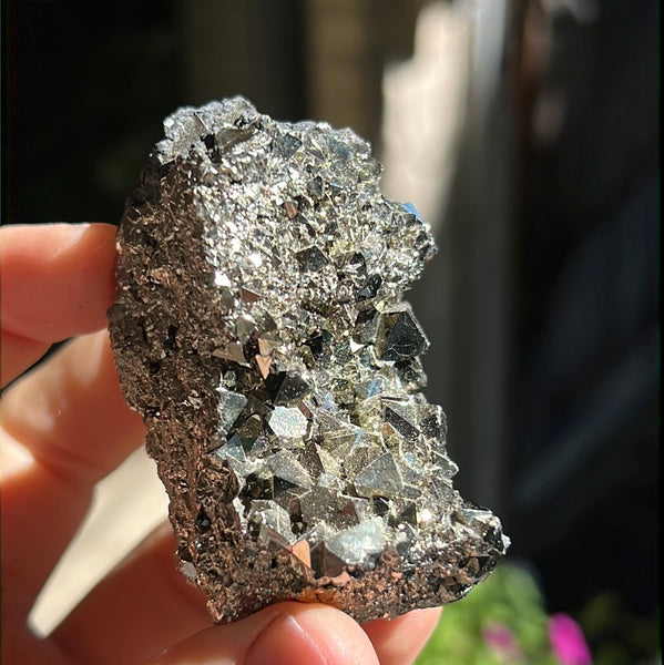 Octahedral Pyrite