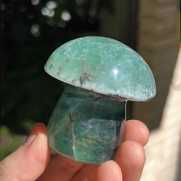 Mexican Fluorite Mushrooms