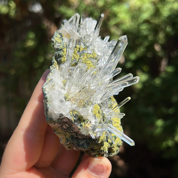 Lemurian Quartz Cluster