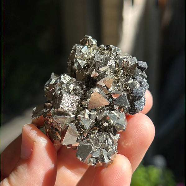 Octahedral Pyrite