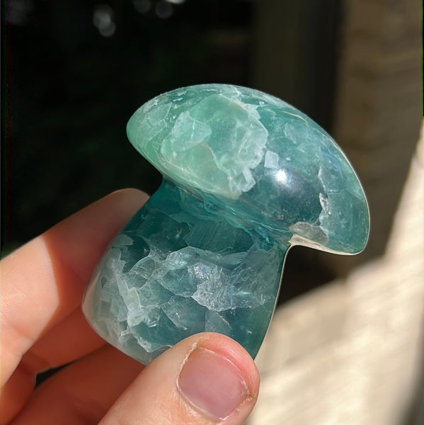 Mexican Fluorite Mushrooms