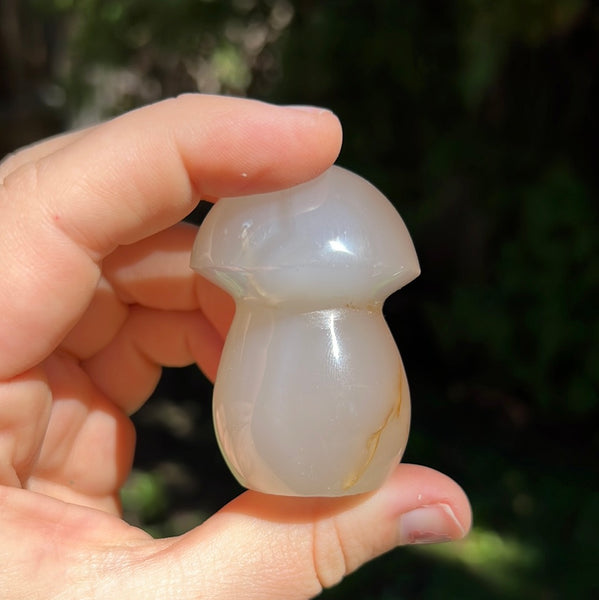 Flower Agate Mushrooms