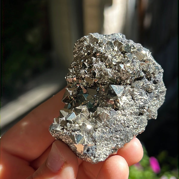 Octahedral Pyrite