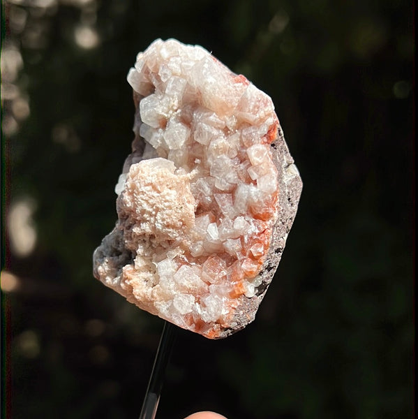 Red Apophyllite on Pin