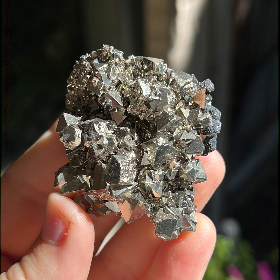 Octahedral Pyrite