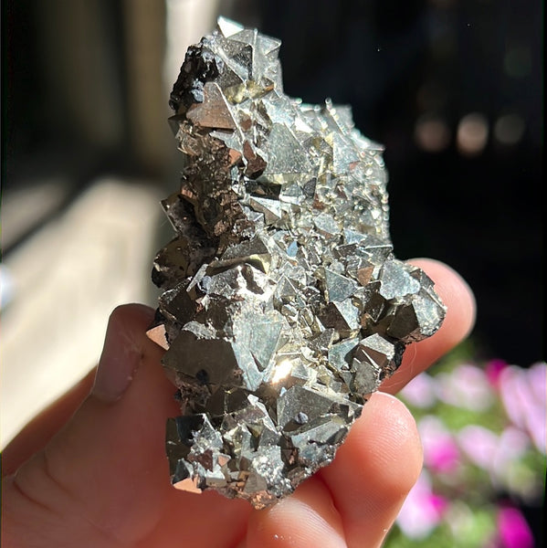 Octahedral Pyrite