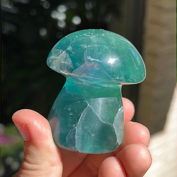 Mexican Fluorite Mushrooms