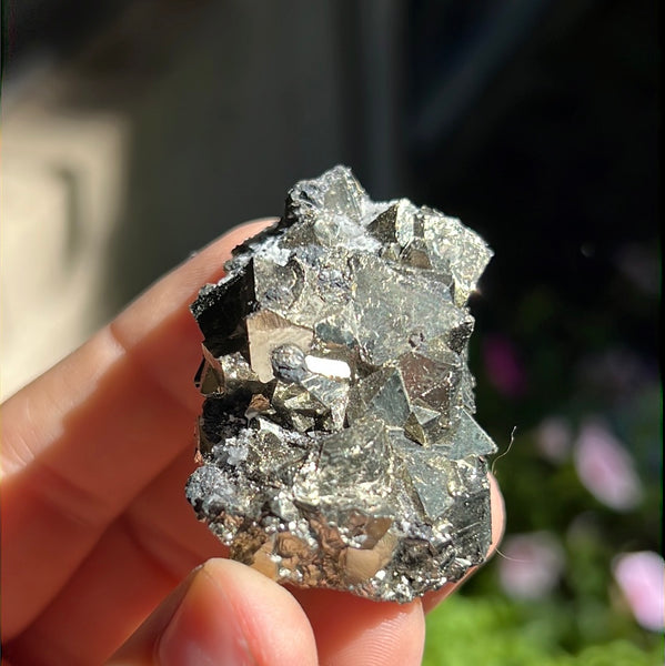 Octahedral Pyrite