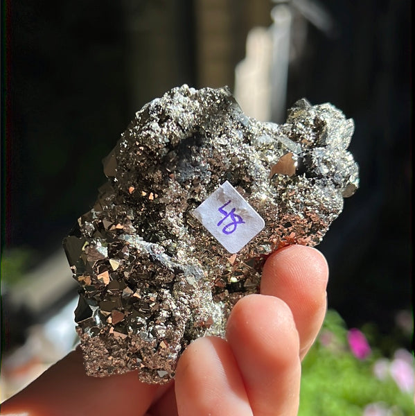 Octahedral Pyrite