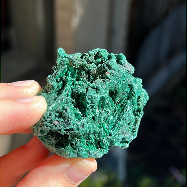 Fibrosis Malachite