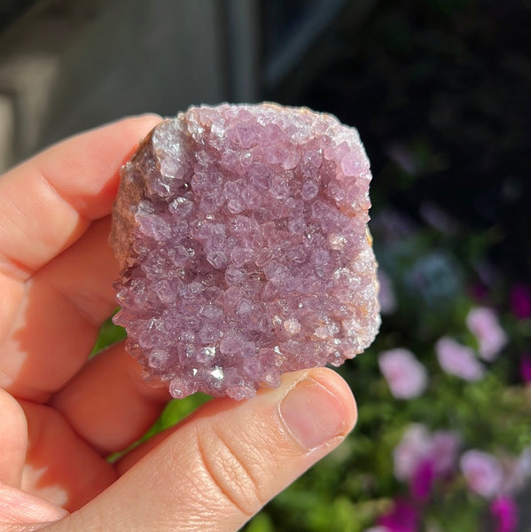 Amethyst Clusters from Turkey