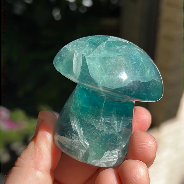 Mexican Fluorite Mushrooms