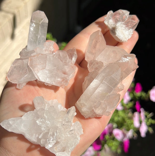 Pink Himalayan Quartz cluster