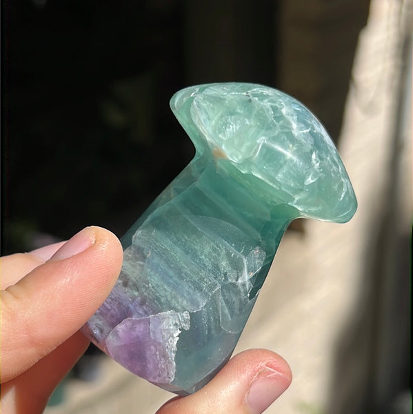 Mexican Fluorite Mushrooms (taller)