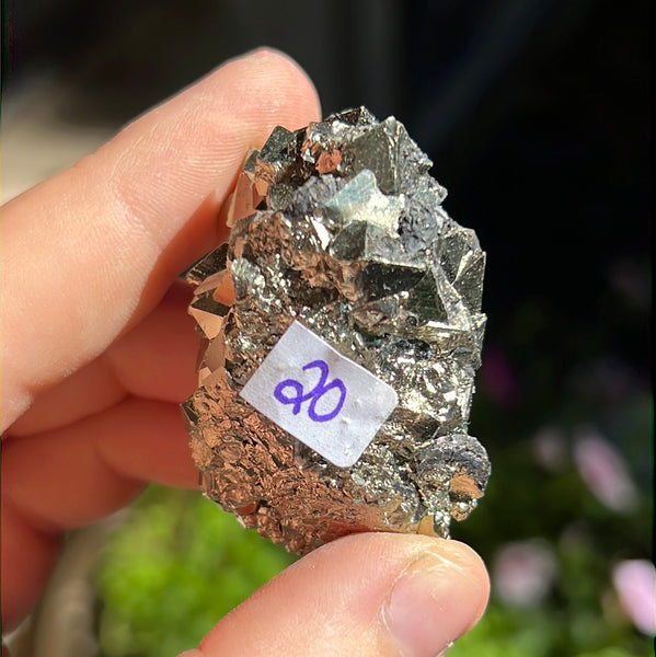 Octahedral Pyrite