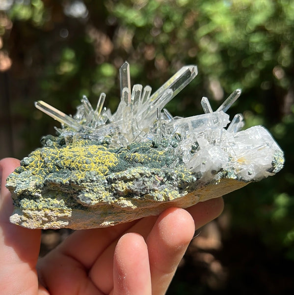 Lemurian Quartz Cluster