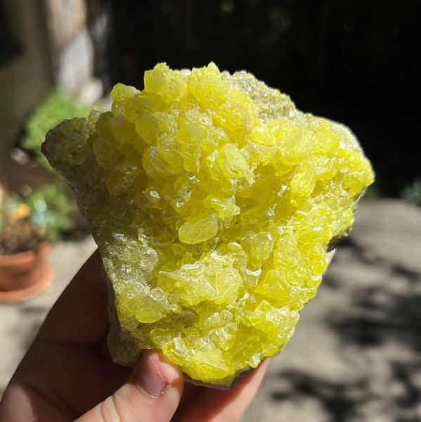 Sulfur Cluster