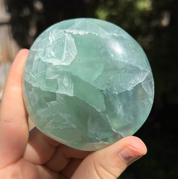 Mexican Fluorite Circular Freeform