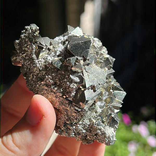 Octahedral Pyrite