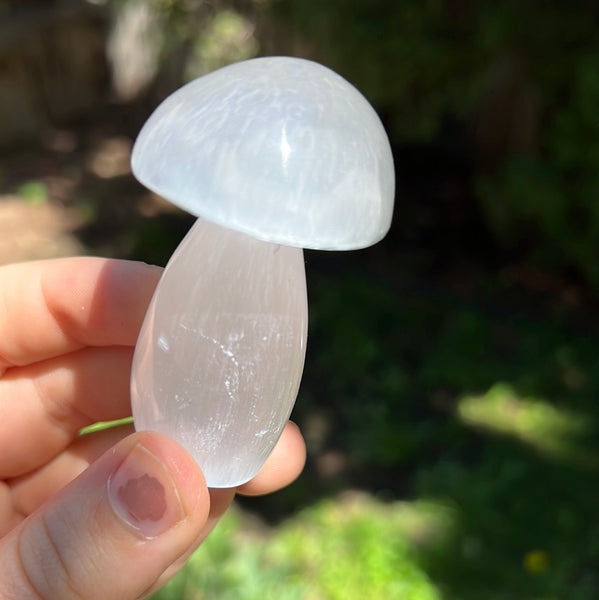 Selenite/Satin Spar Mushroom