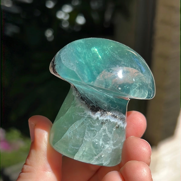 Mexican Fluorite Mushrooms