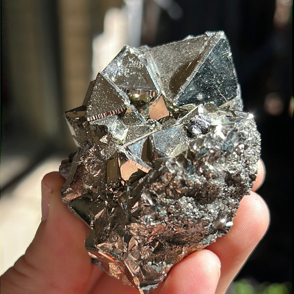 Octahedral Pyrite