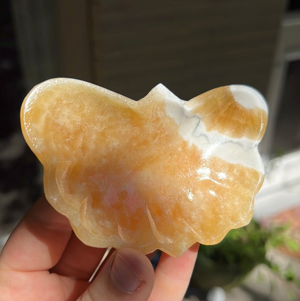 Banded Zebra/Orange Calcite Butterfly Dish