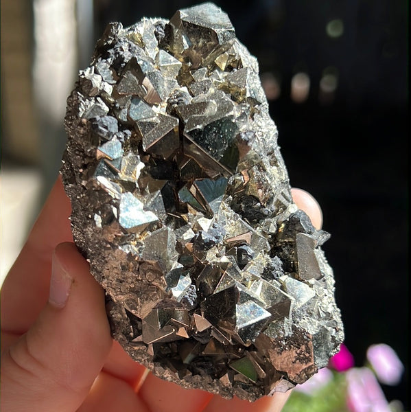 Octahedral Pyrite