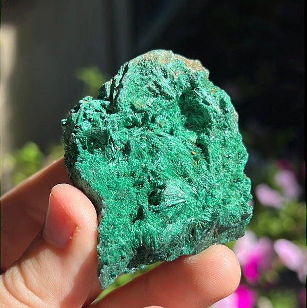 Fibrosis Malachite