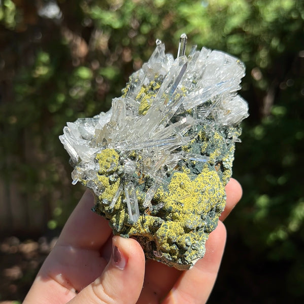 Lemurian Quartz Cluster