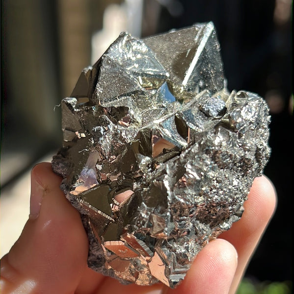 Octahedral Pyrite