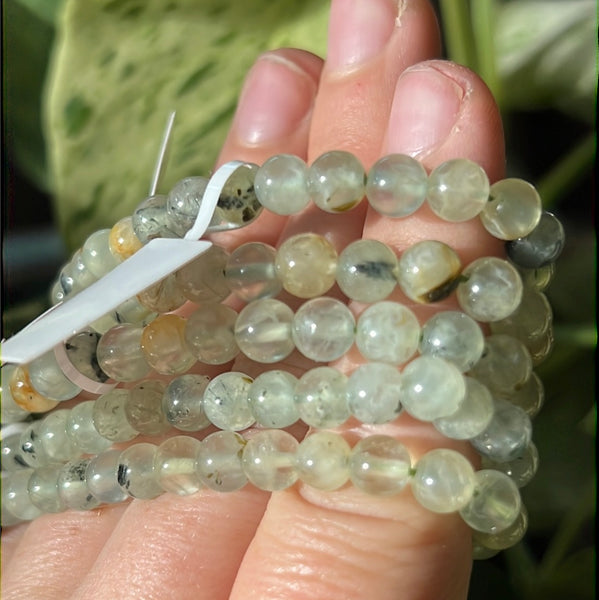 Prehnite Bracelet (6mm)