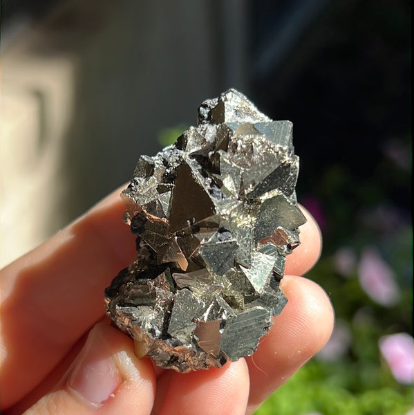 Octahedral Pyrite