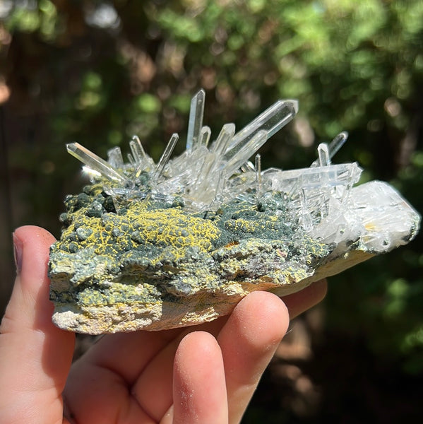 Lemurian Quartz Cluster