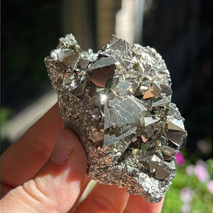 Octahedral Pyrite