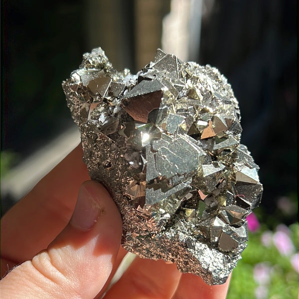 Octahedral Pyrite