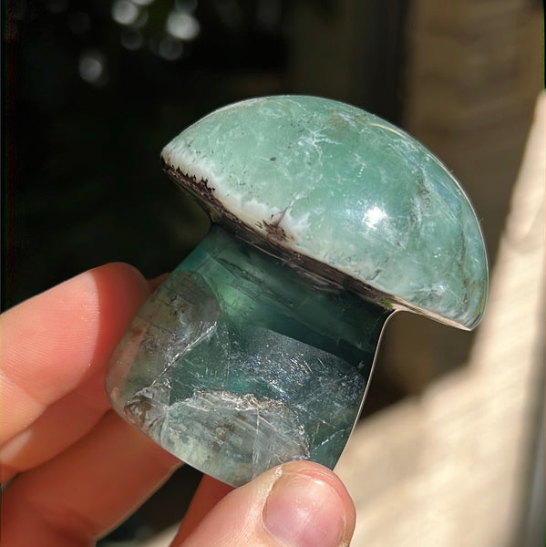 Mexican Fluorite Mushrooms