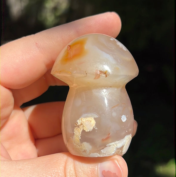 Flower Agate Mushrooms