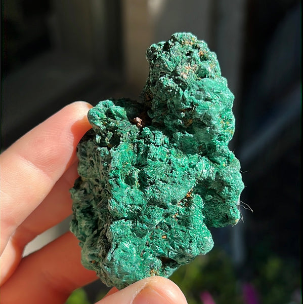 Fibrosis Malachite