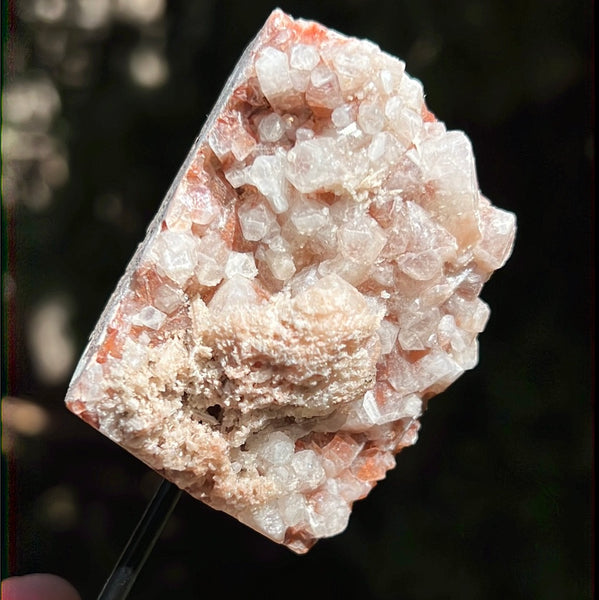 Red Apophyllite on Pin