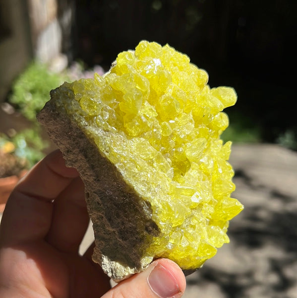 Sulfur Cluster