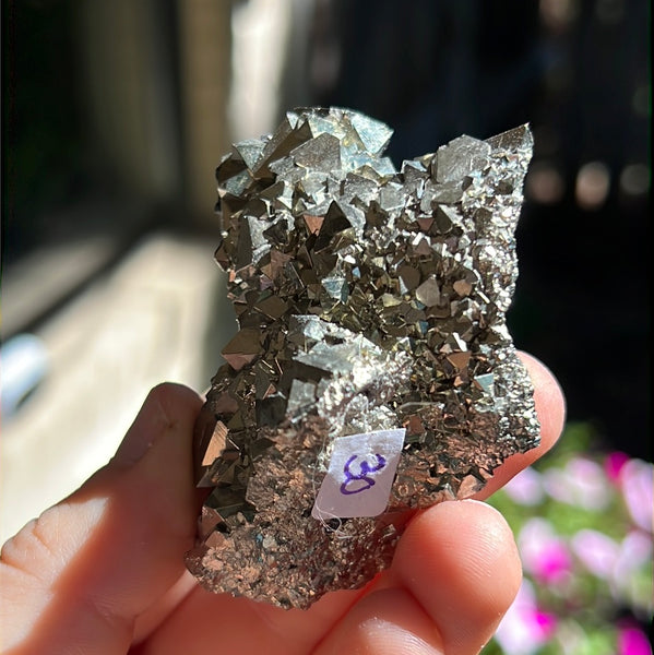 Octahedral Pyrite