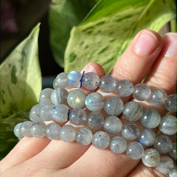 Labradorite Bracelet (8mm)