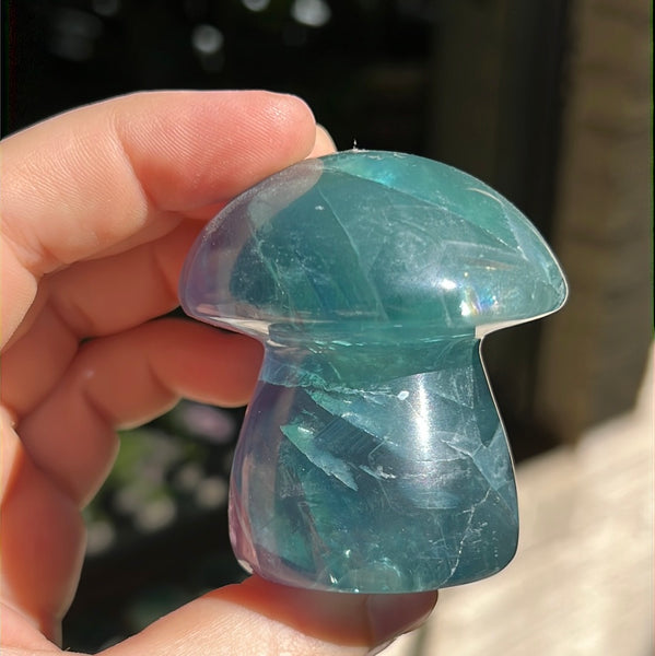 Mexican Fluorite Mushrooms