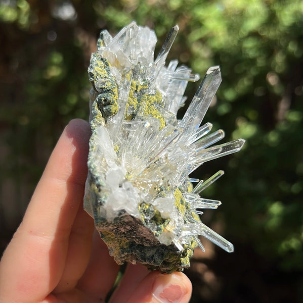 Lemurian Quartz Cluster